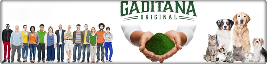 Gaditana Original Superfood with TetraSOD: The Ultimate Antioxidant Boost