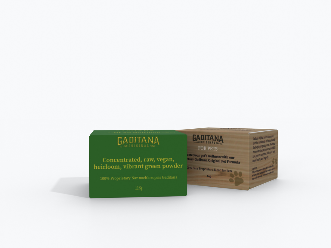 Gaditana Original Pure Powder: The Superfood Fueling Athletes, Pets, and Everyday Wellness